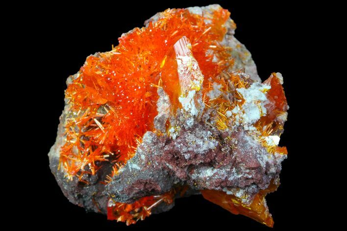 Wulfenite Crystal Cluster - Rowley Mine, AZ #76898